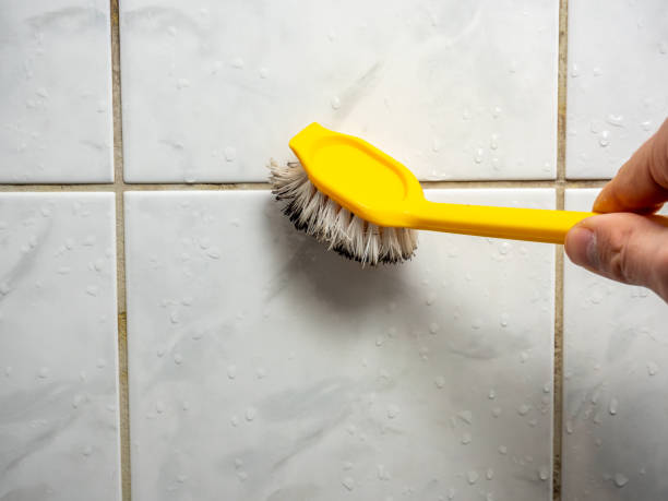 Best Residential Mold Removal  in Mcmillin, WA