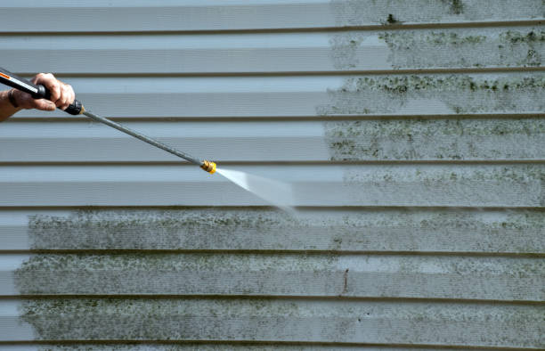 Best Black Mold Removal  in Mcmillin, WA