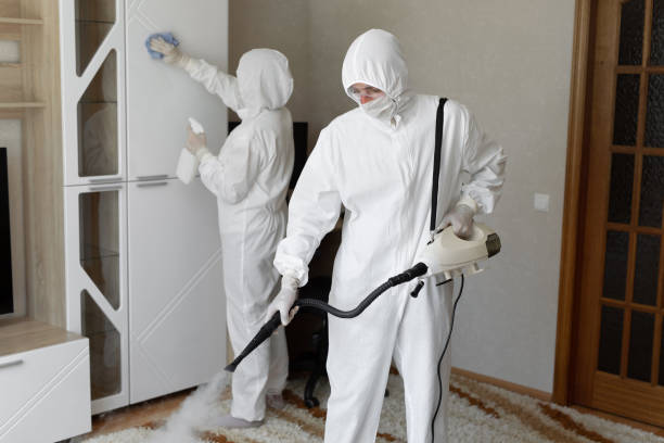 Best Black Mold Removal  in Mcmillin, WA