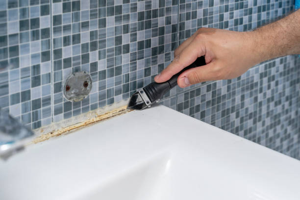 Best Mold Remediation Services  in Mcmillin, WA