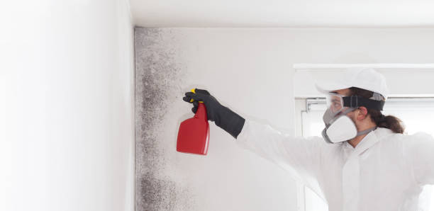 Best Crawl Space Mold Removal  in Mcmillin, WA