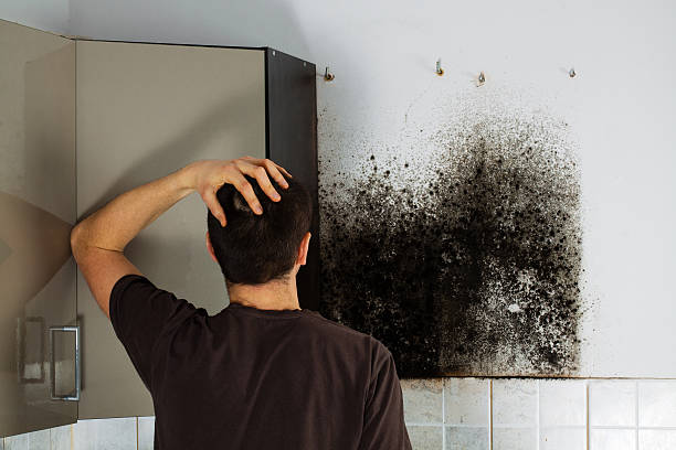 Best Toxic Mold Removal  in Mcmillin, WA